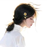 shiyaxu___anice