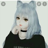 lirs498