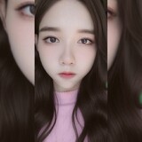 Vanlla Chiwawa Gamin