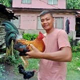 byaherongsabongero