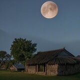 hedishangdeerhua