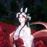 shuijiemei_