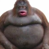 big_monke