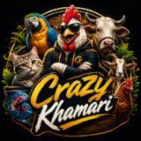 crazykhamari