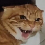 jiangkouchenyin