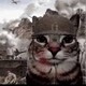creator avatar