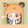 universe_zixin