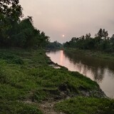 Mamun Akash