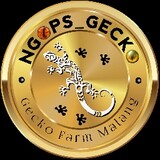 NGOPS_GECKO