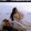 xiaoye---