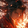 Anime-X Library