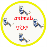 animals TOP