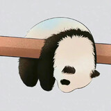 liangwanshizhi____