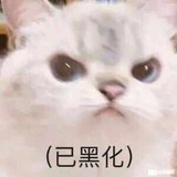 ayarise_04_01