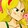 feizaoxingbuxing-