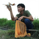 creator avatar