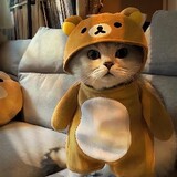 nitingyoufaner