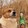 shuchishushu