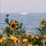 agerdesheyingrichang