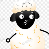 wodepaomianer