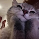 wenshishi-