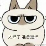 akira__hikaru