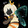 muxi_nf