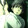 -guyoutai