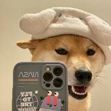 sheniuajin