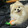 077yingshijun