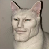 Febbem