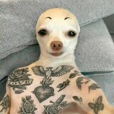 bumblewh0re_02_04