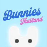 Bunnies Thailand