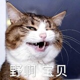 xiaofuruifree