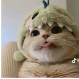 นูไรนี และลียะลา