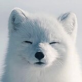 xurisheng_