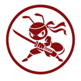 NinjaAntRecap