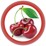 yingtaoxiaoyuanzi-malumalu