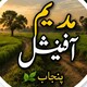 creator avatar