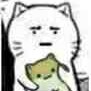 wushiaojiaowup___i