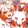 darkネコ_congsheng