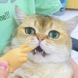 miaoduoduoya