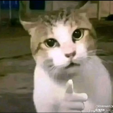 ซีรีย์จีนพากย์ไทยhd