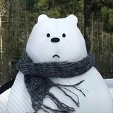 xueshanquyangwangzhe