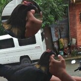 ニール ブア