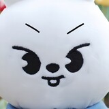 washasha_yiheihua
