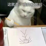 lingkonglikoo