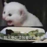 wushangvictory