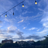 Mint Sky 2308
