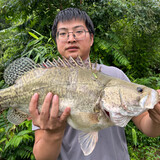 mayiyujujingxuan